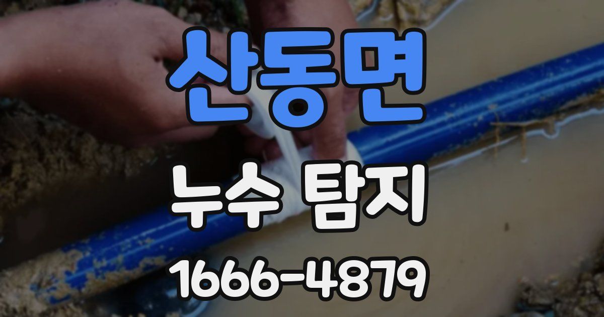 산동면 누수 탐지