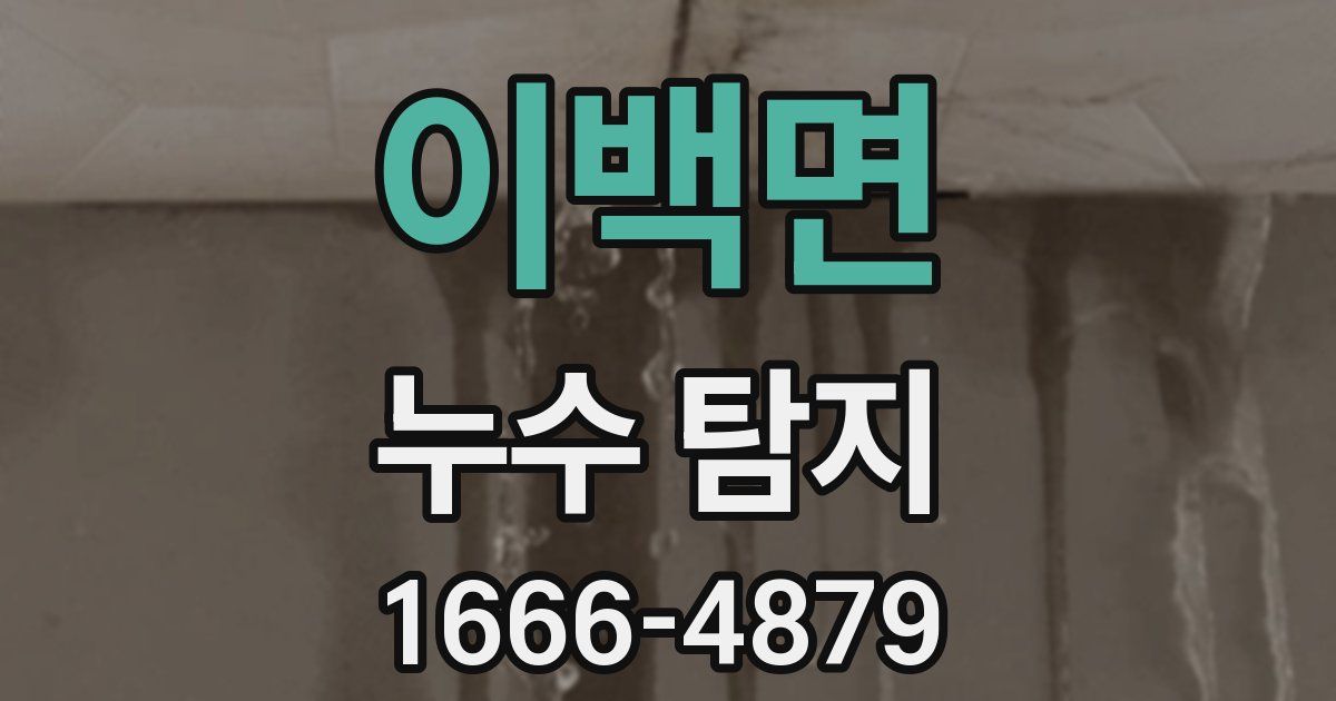 이백면 누수 탐지