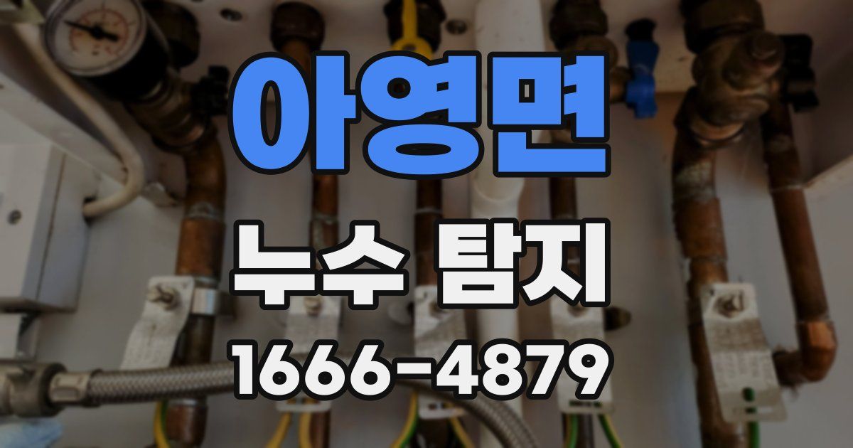 아영면 누수 탐지