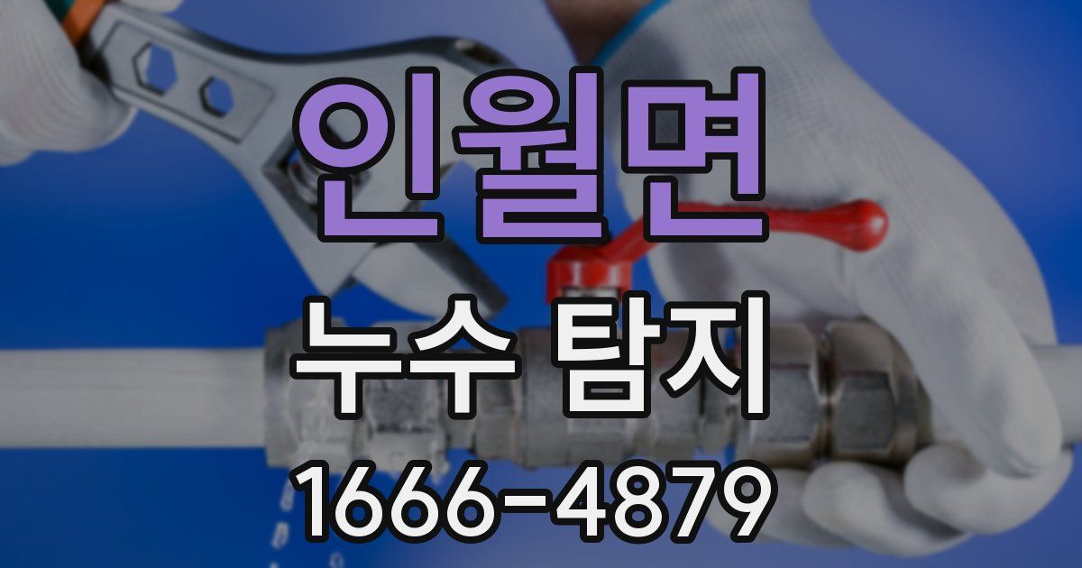 인월면 누수 탐지