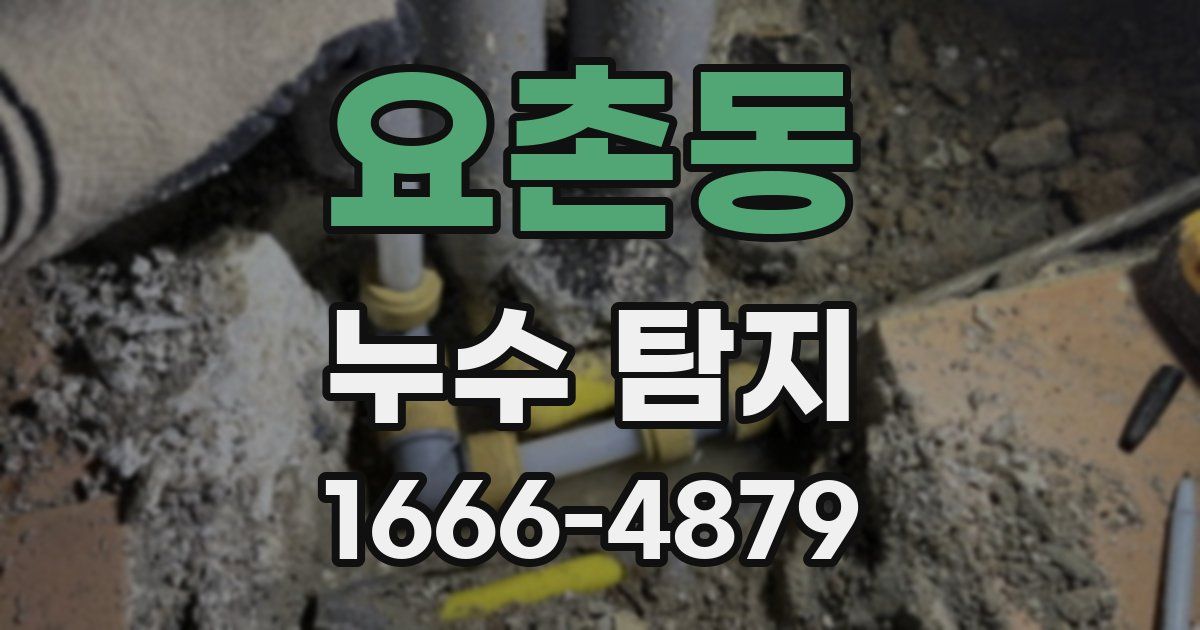요촌동 누수 탐지