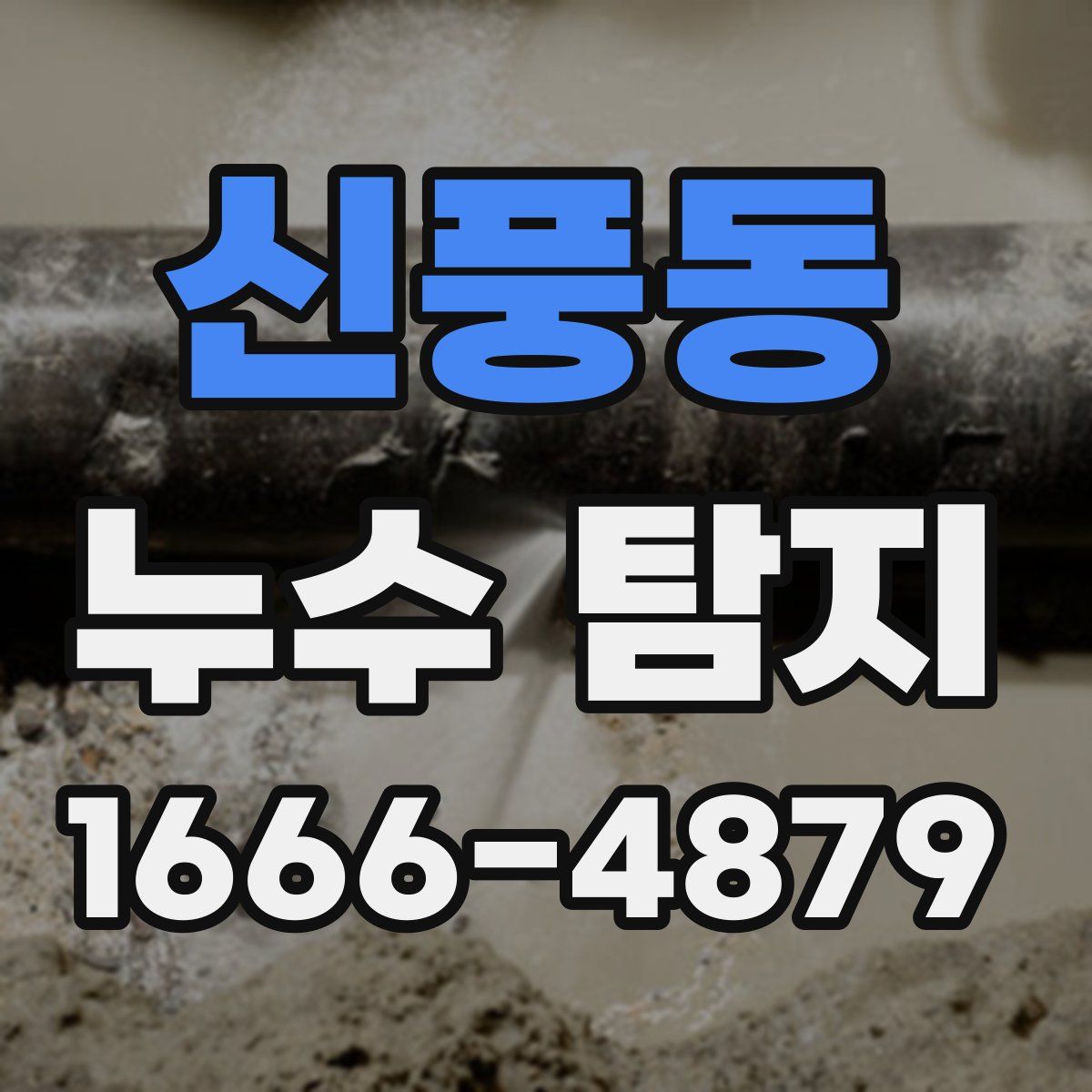 신풍동 누수 탐지