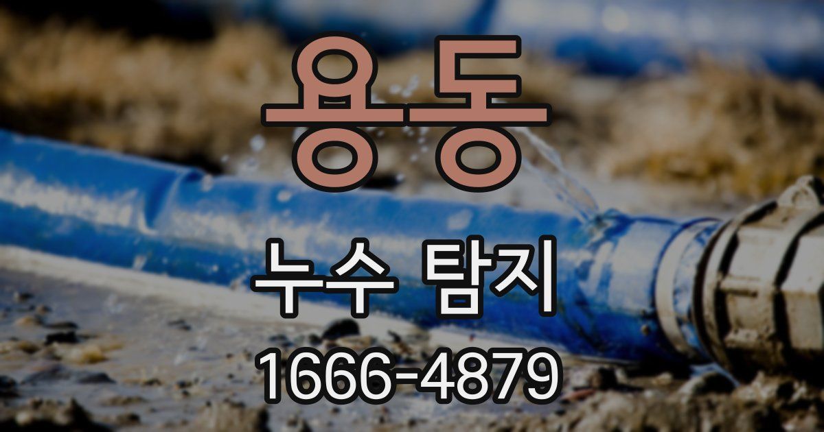 용동 누수 탐지