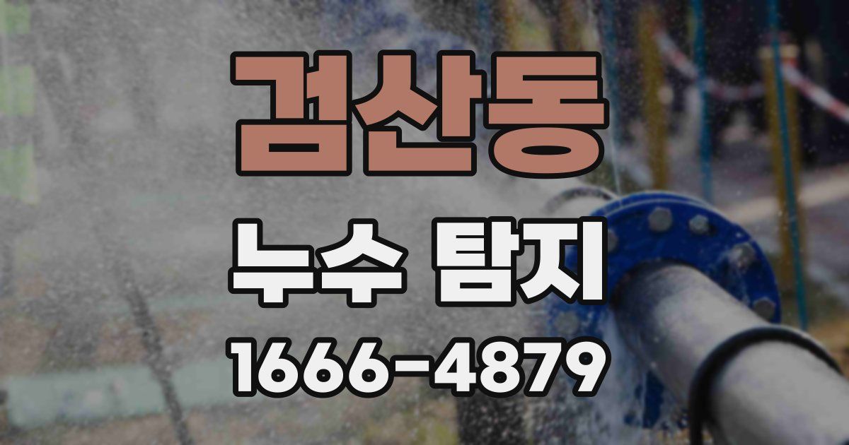 검산동 누수 탐지