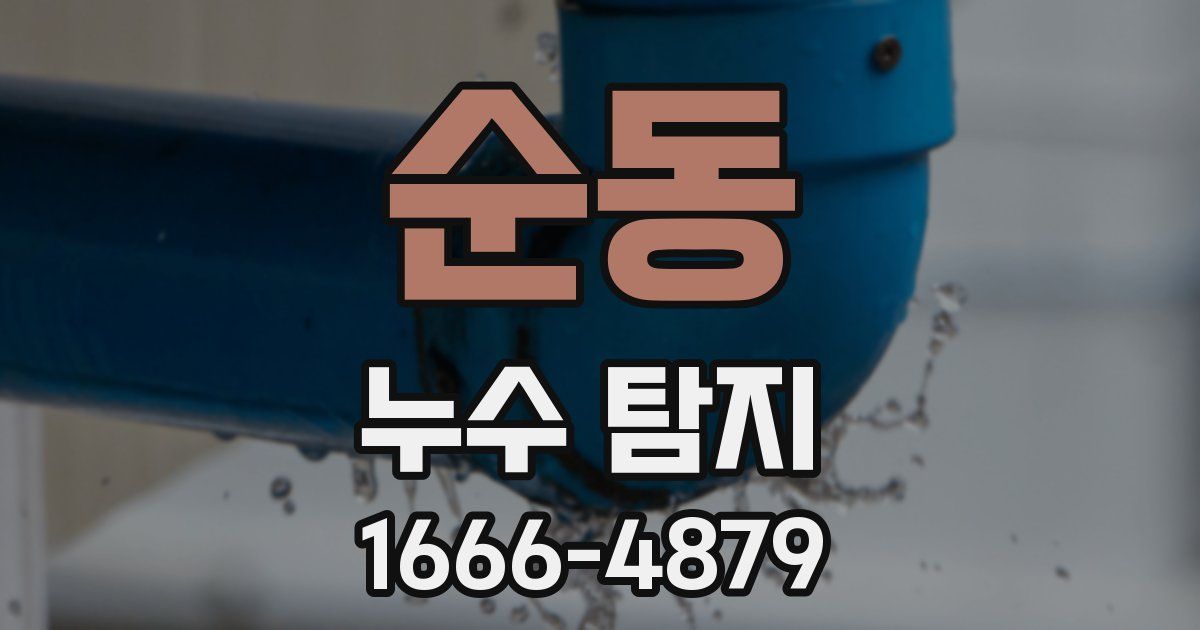 순동 누수 탐지