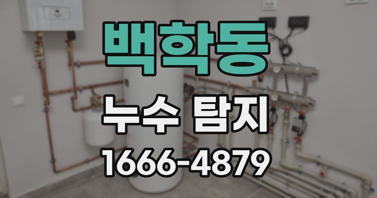 백학동 누수 탐지