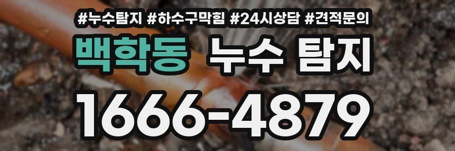 백학동 누수 탐지