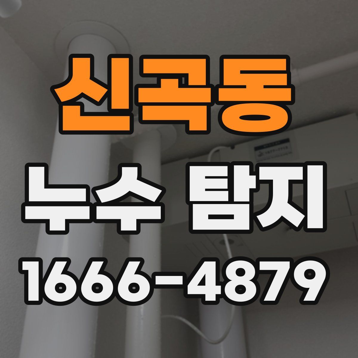 신곡동 누수 탐지