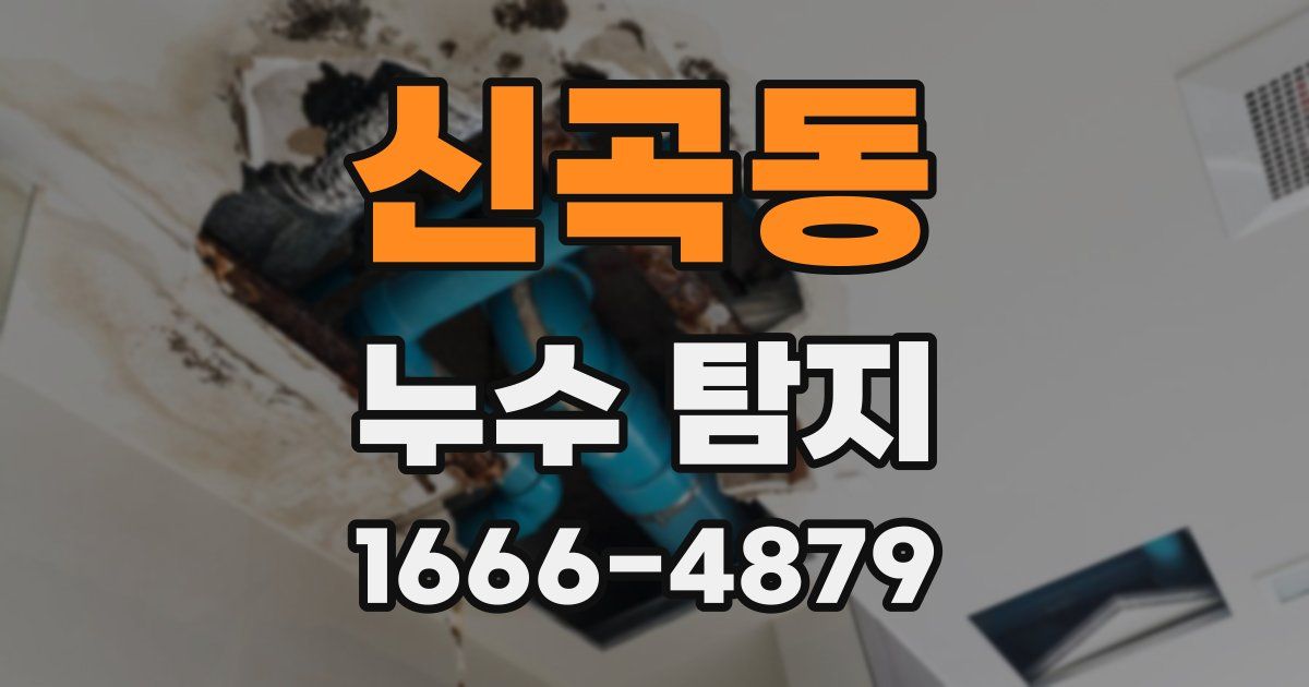신곡동 누수 탐지
