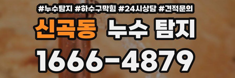 신곡동 누수 탐지