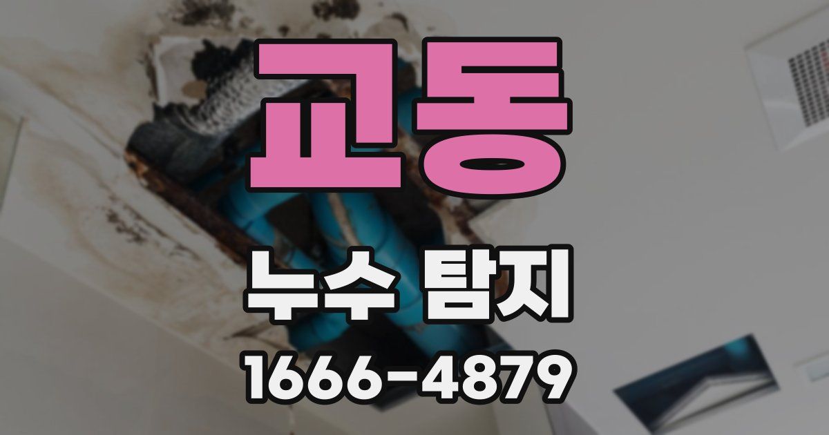 교동 누수 탐지