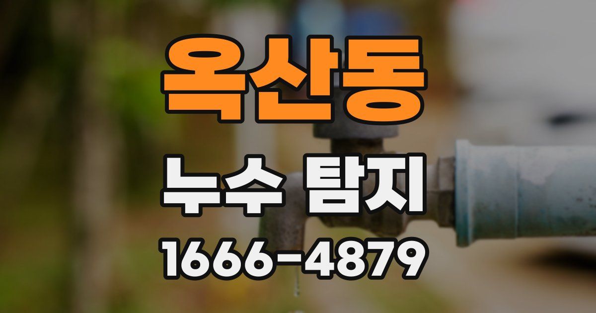 옥산동 누수 탐지
