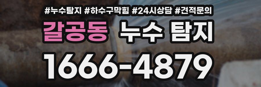 갈공동 누수 탐지