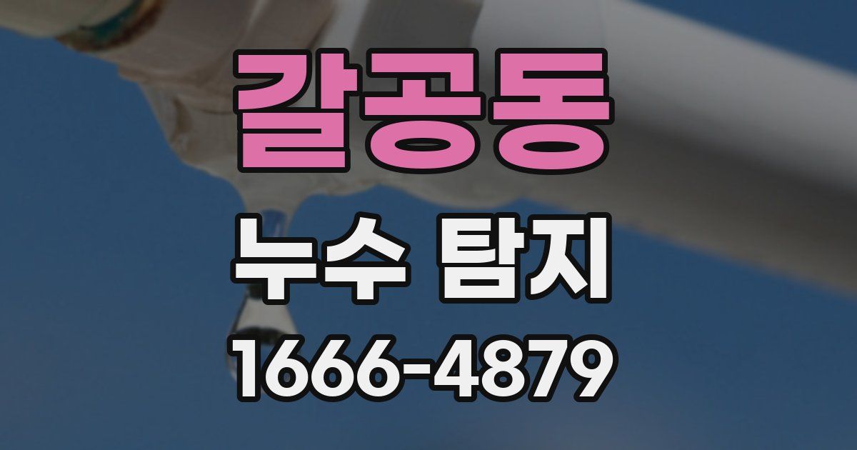갈공동 누수 탐지