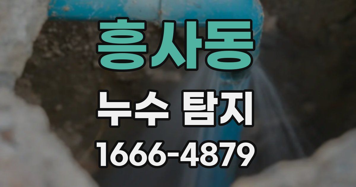 흥사동 누수 탐지