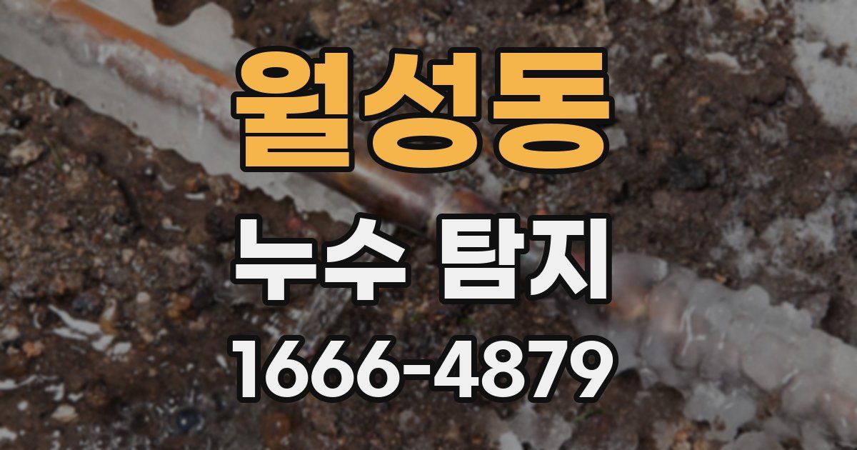 월성동 누수 탐지