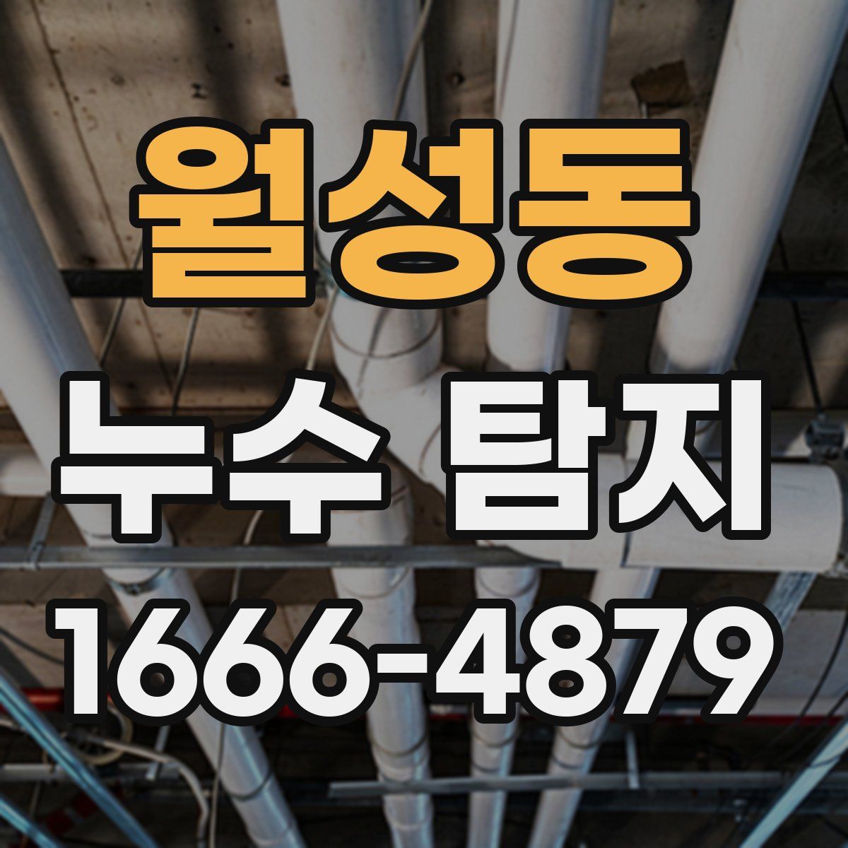 월성동 누수 탐지