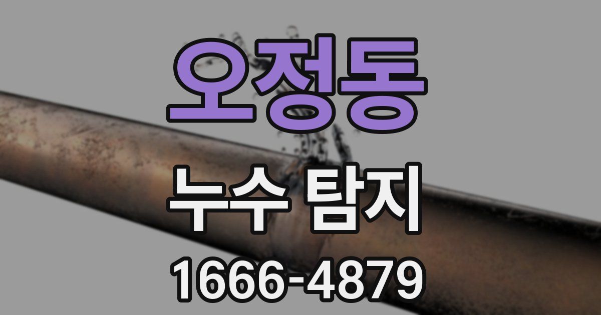 오정동 누수 탐지