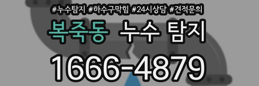 복죽동 누수 탐지