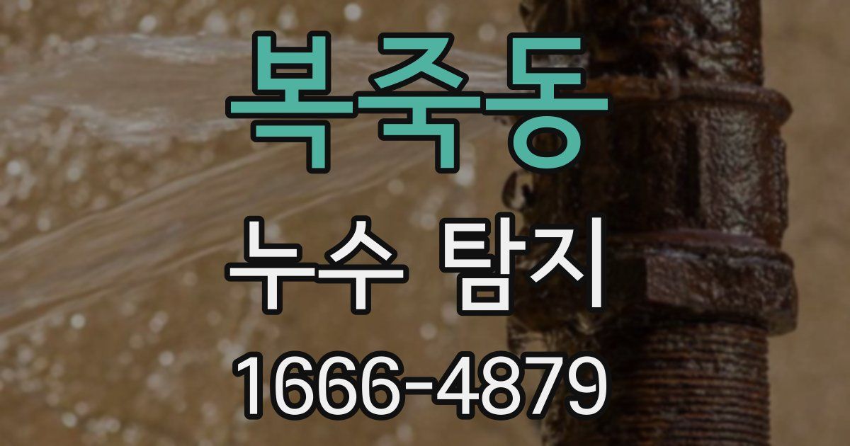 복죽동 누수 탐지