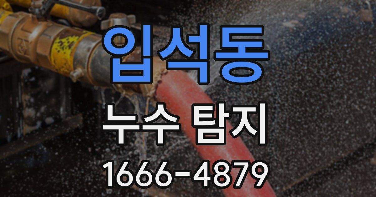 입석동 누수 탐지