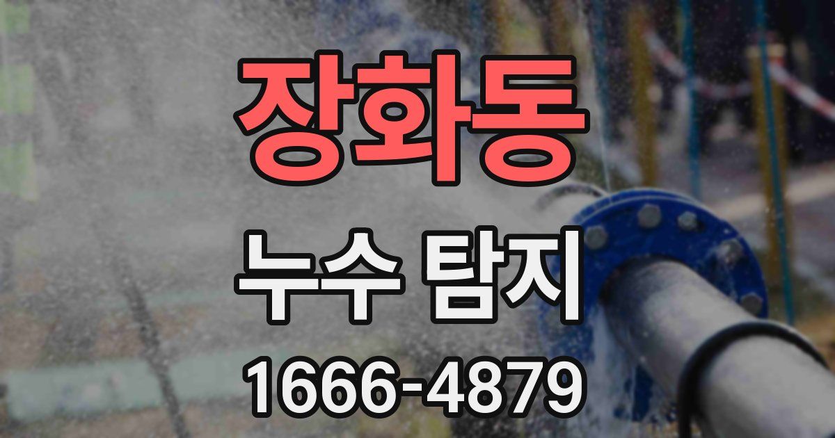 장화동 누수 탐지