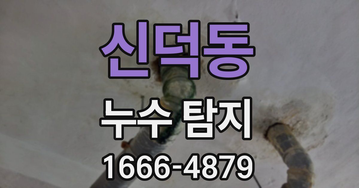 신덕동 누수 탐지