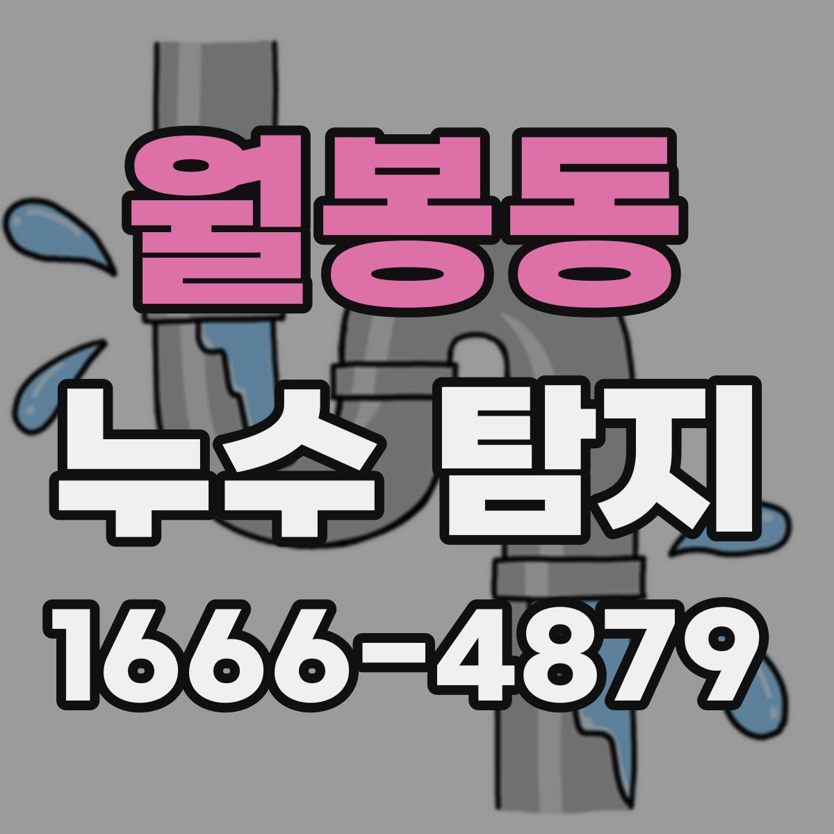 월봉동 누수 탐지