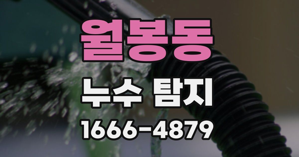 월봉동 누수 탐지