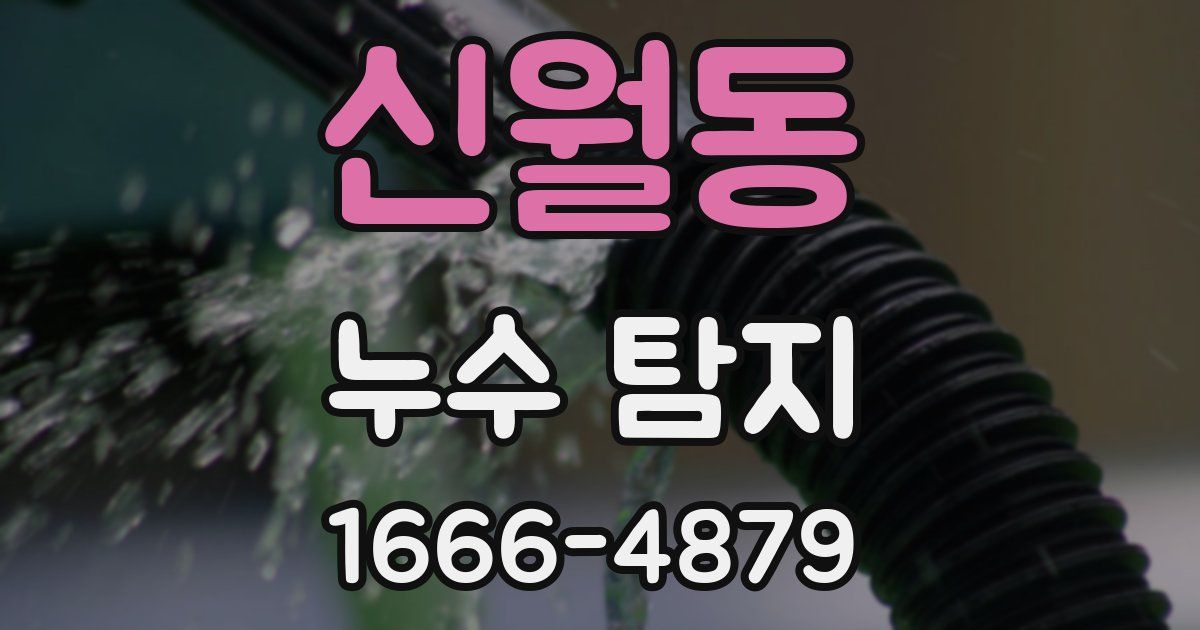 신월동 누수 탐지