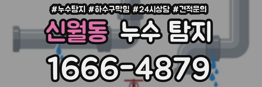 신월동 누수 탐지