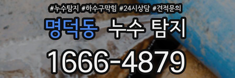 명덕동 누수 탐지