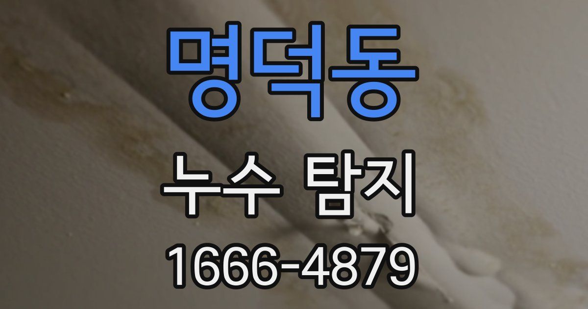 명덕동 누수 탐지