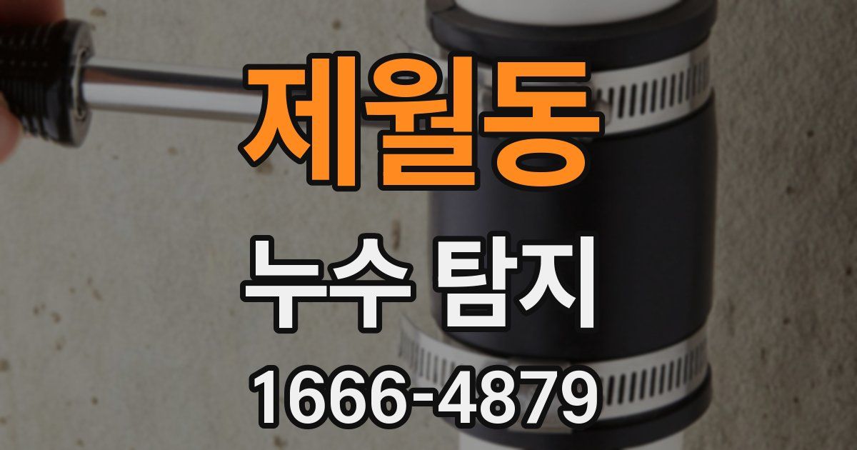 제월동 누수 탐지