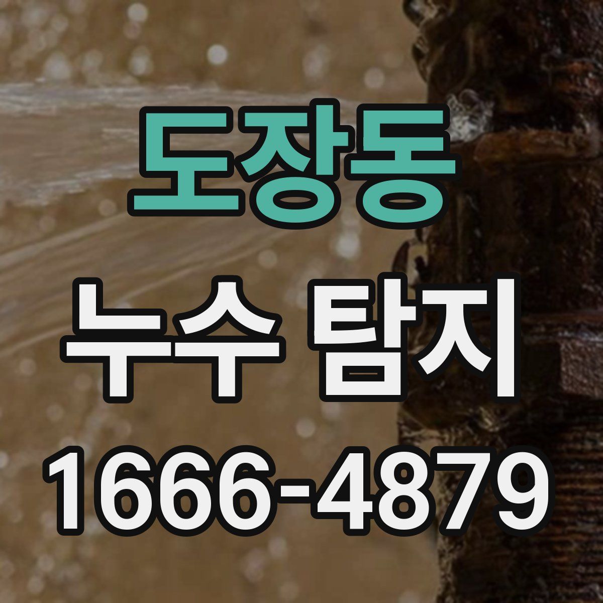 도장동 누수 탐지