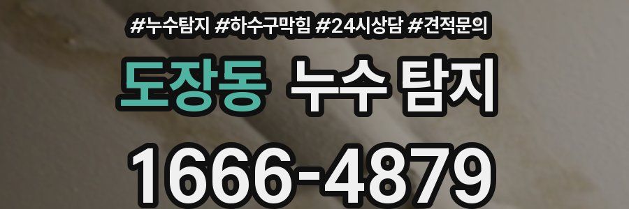 도장동 누수 탐지