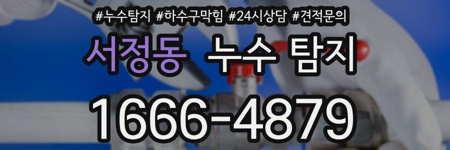 서정동 누수 탐지