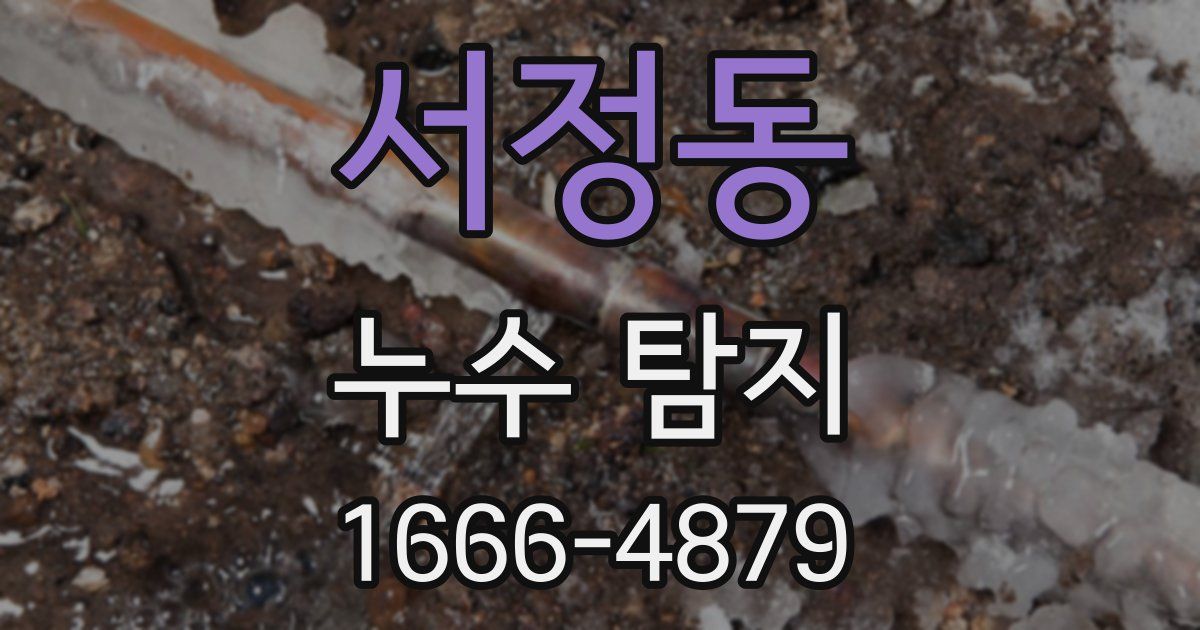 서정동 누수 탐지
