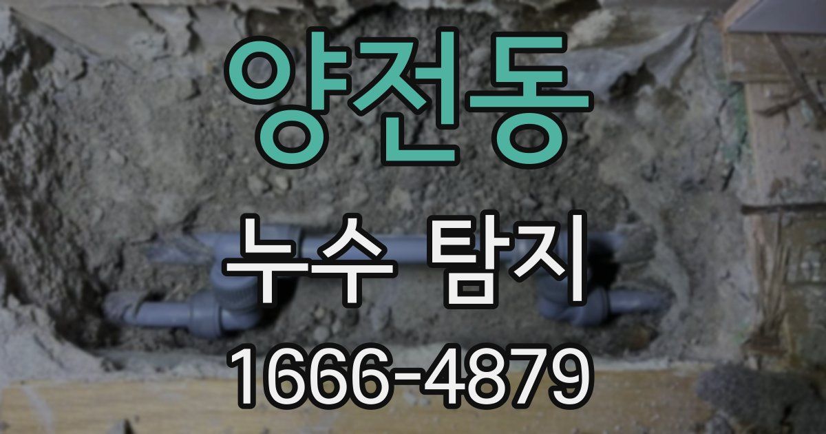 양전동 누수 탐지