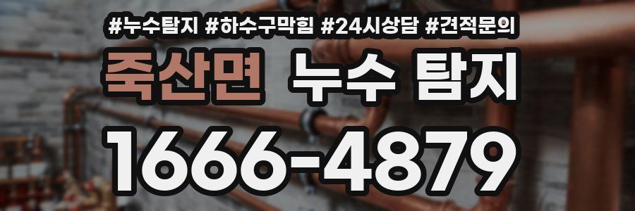 죽산면 누수 탐지