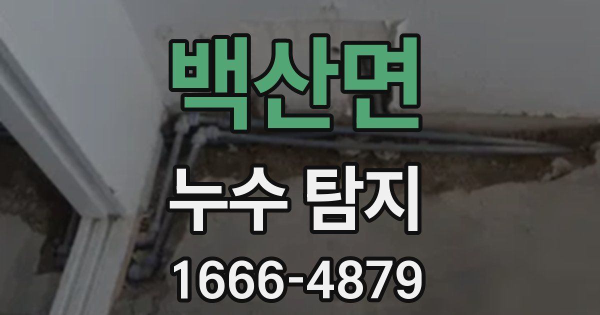 백산면 누수 탐지