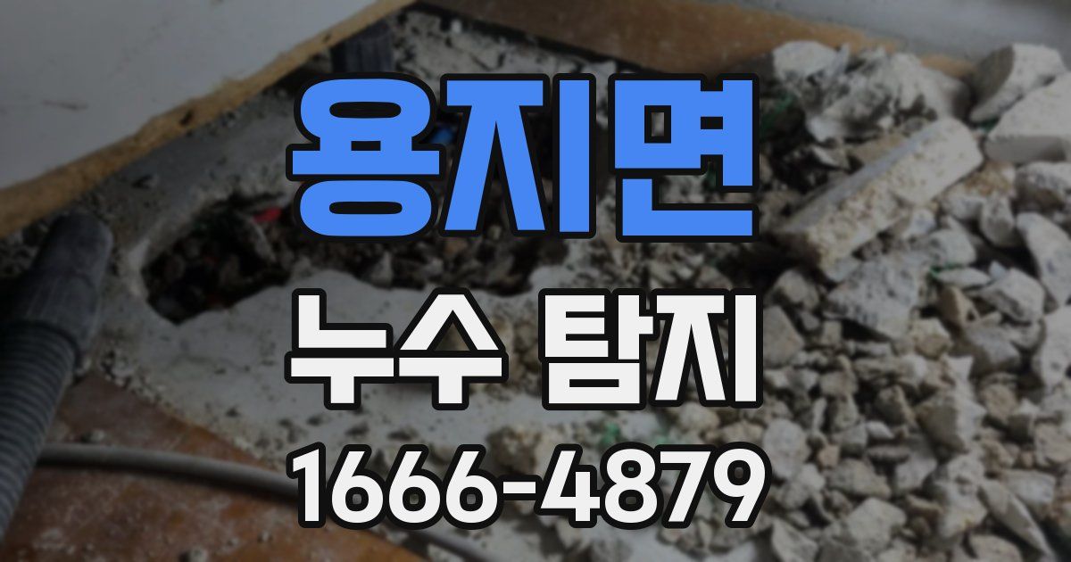 용지면 누수 탐지