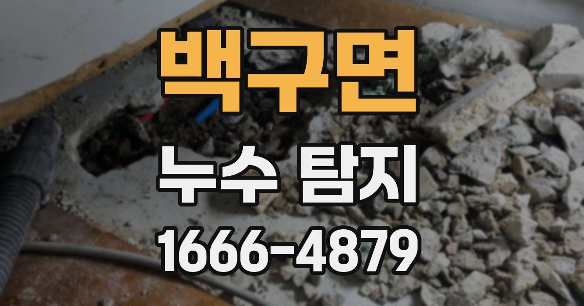 백구면 누수 탐지