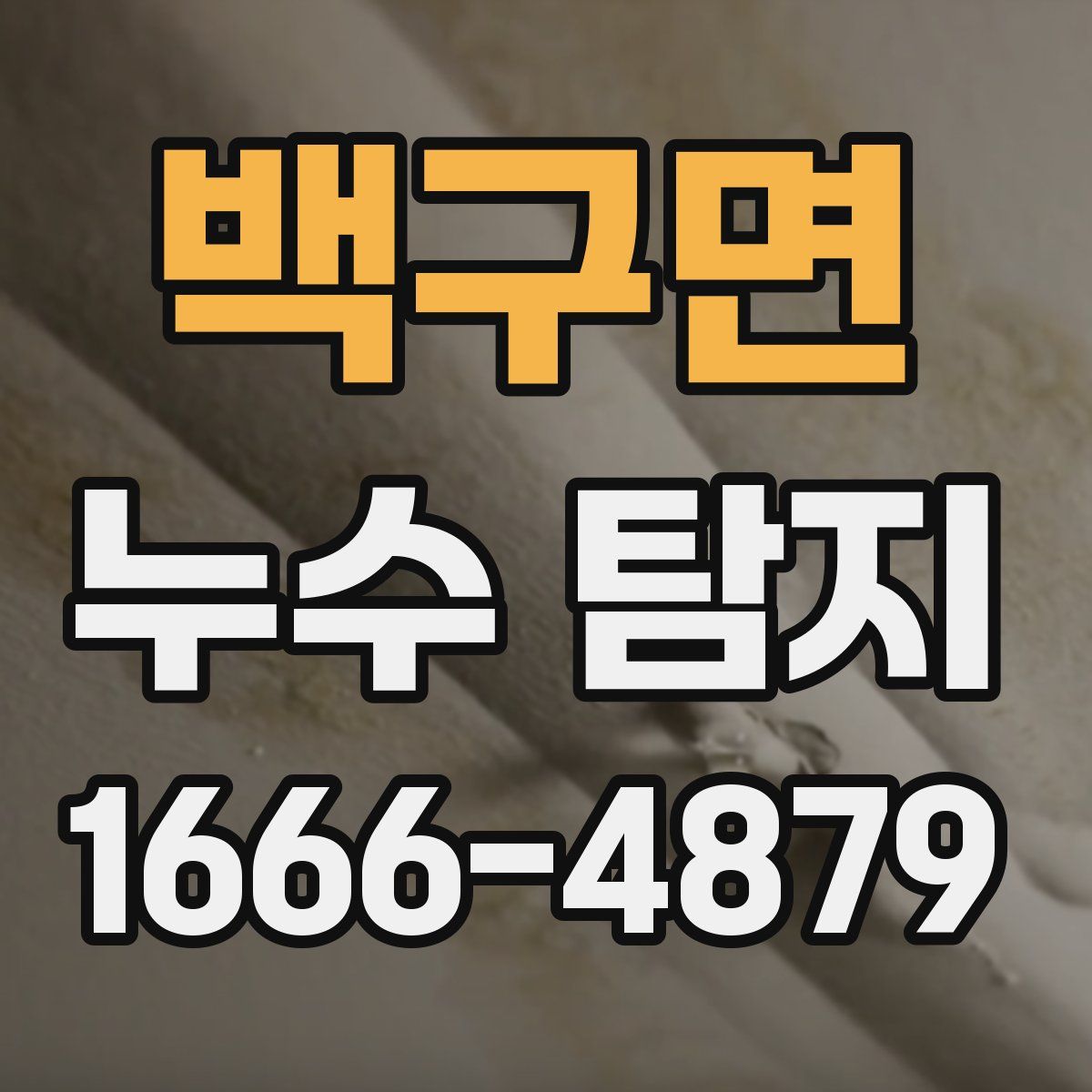 백구면 누수 탐지