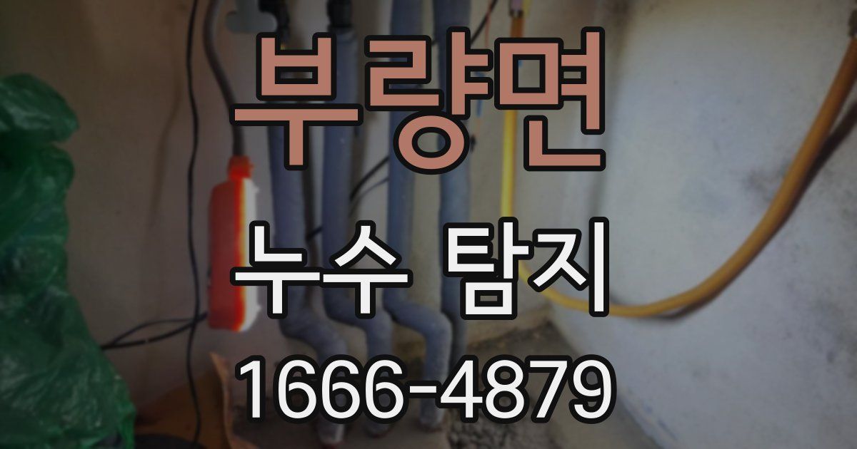 부량면 누수 탐지