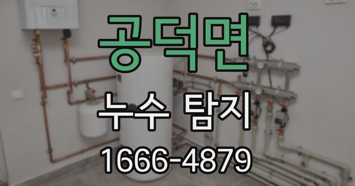 공덕면 누수 탐지