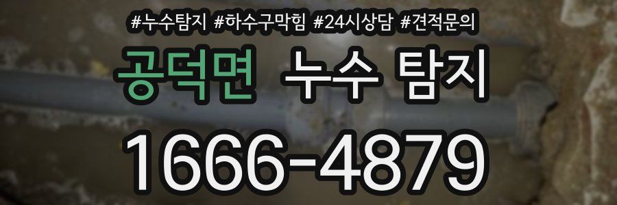 공덕면 누수 탐지