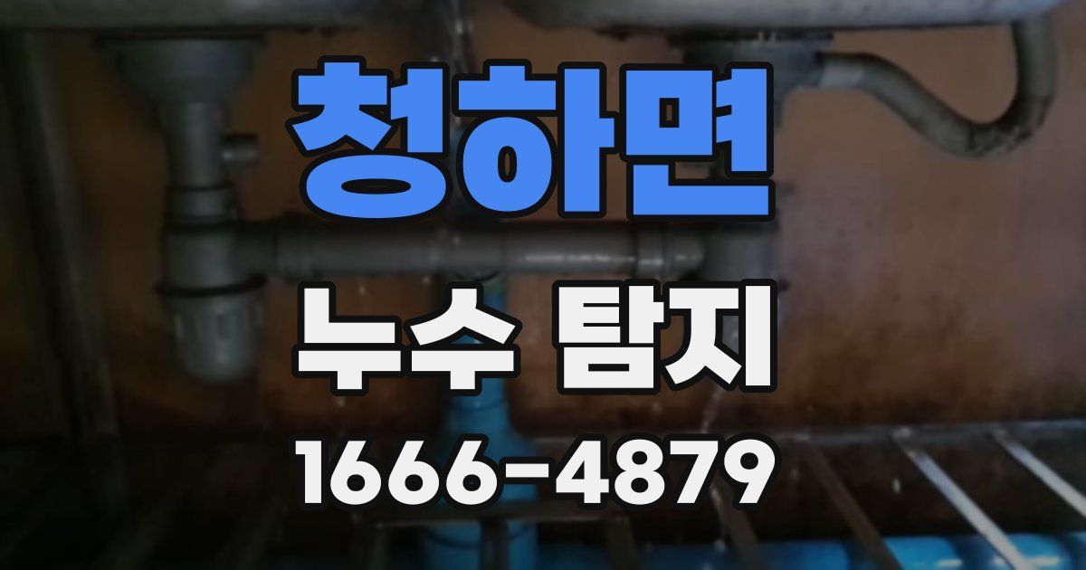 청하면 누수 탐지
