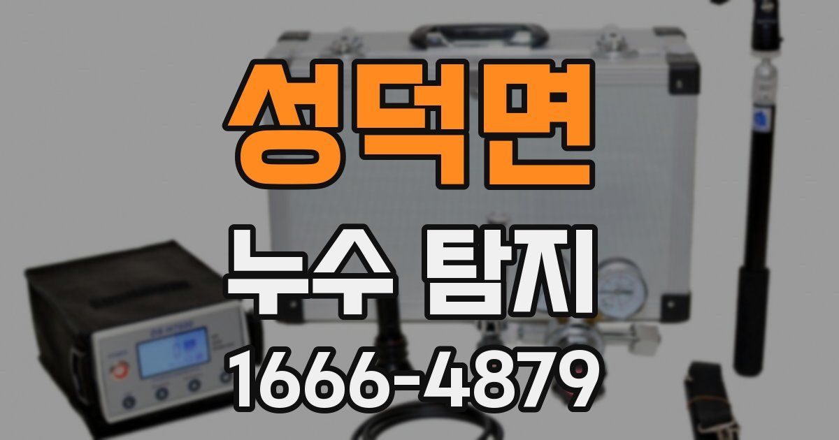 성덕면 누수 탐지