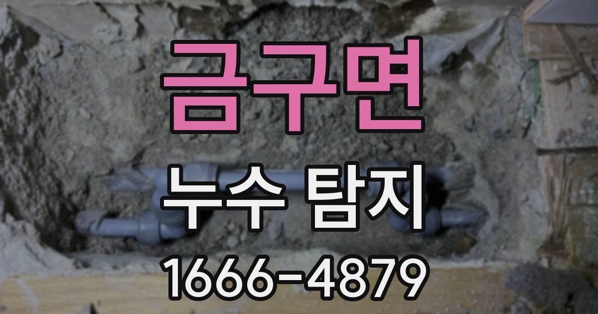 금구면 누수 탐지